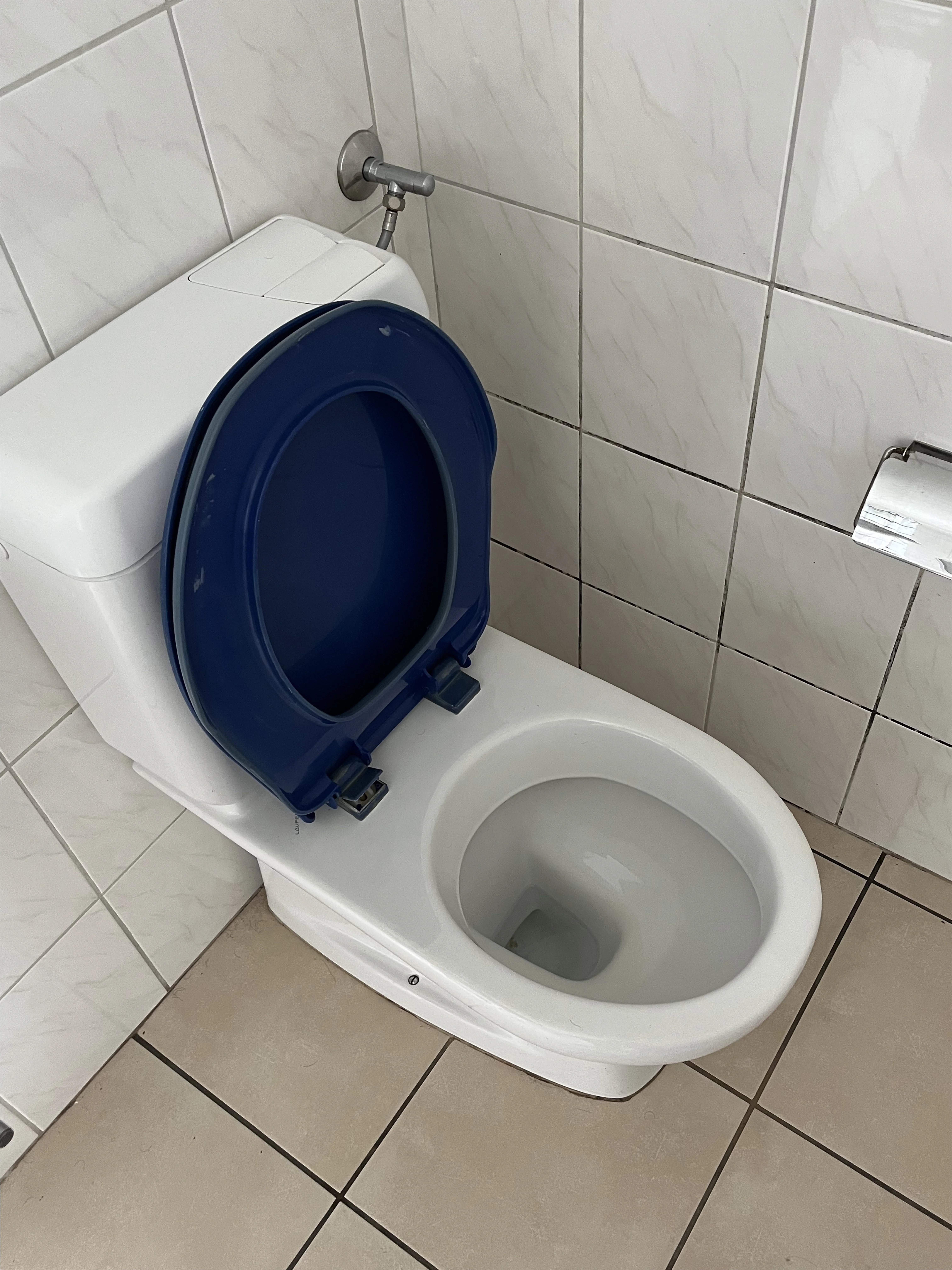Après nettoyage à Conthey