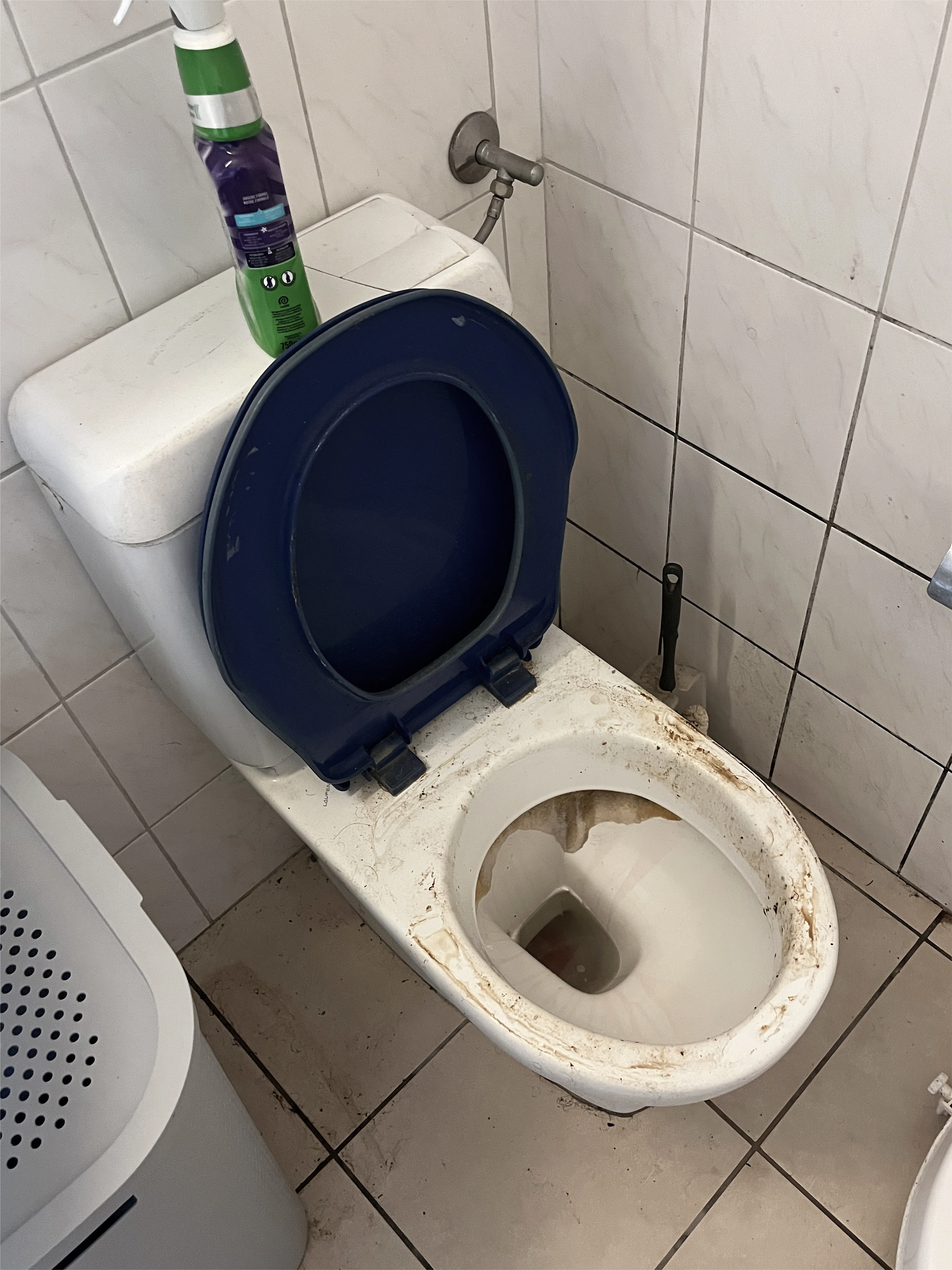 Avant nettoyage en Valais